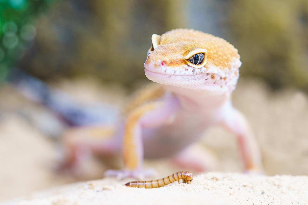 稼げる写真の被写体を見つけるための絞り方は？