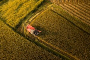 組み合わせるイラストのアイデアを探すにはどうすればいい？