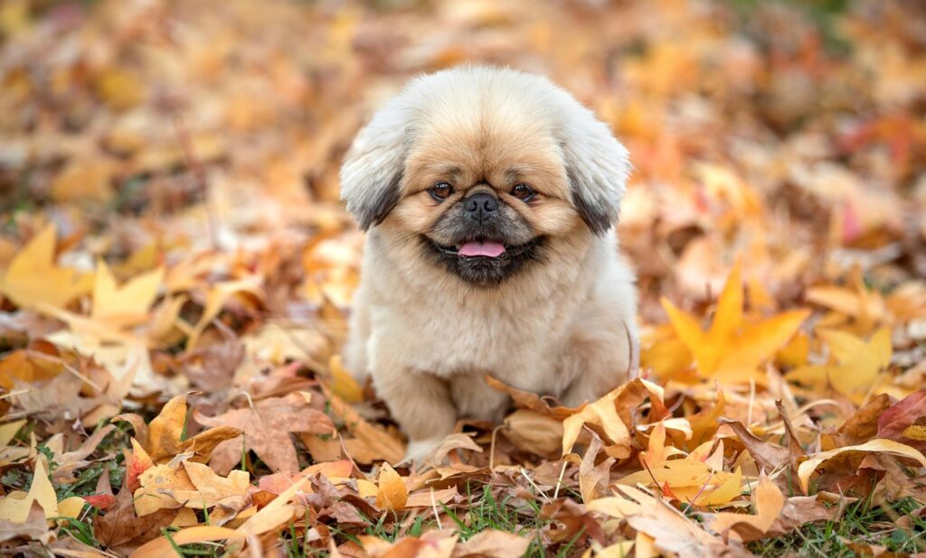 向き不向きを見極めるためのポイントは？