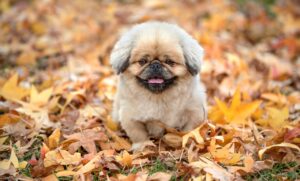 向き不向きを見極めるためのポイントは？