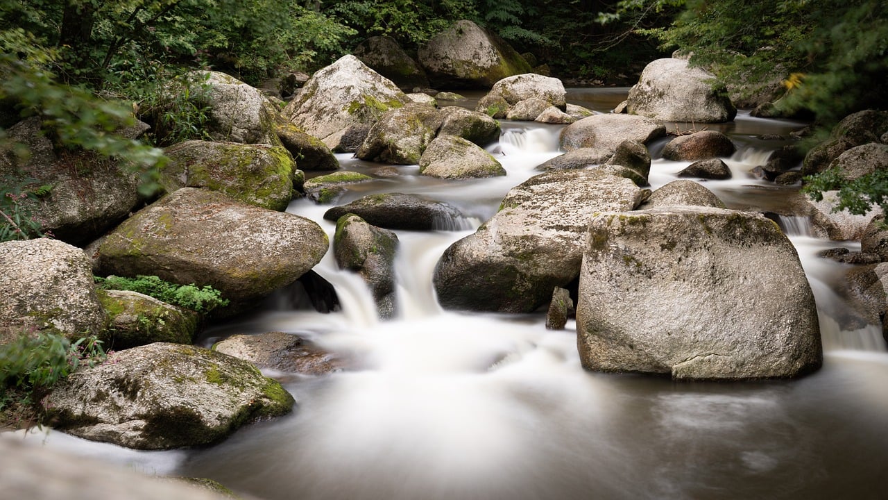 カラープロファイルが豊富なカメラの選び方とは？