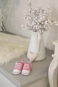 日常で使えるカメラ初心者向けのおすすめ機種は？