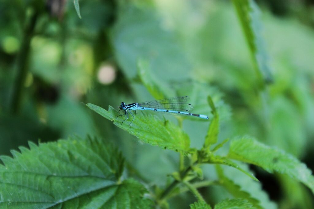 カメラ初心者が知っておくべき保証の重要さとは？