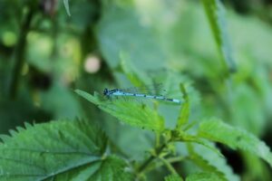 カメラ初心者が知っておくべき保証の重要さとは？