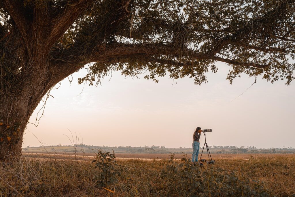 ボディとレンズ、どちらを重視すべきか初心者向けの選び方は？