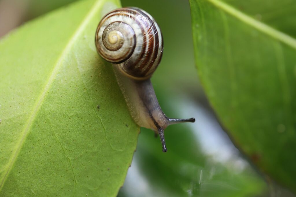 センサー付きゴミ箱の確認方法は？
