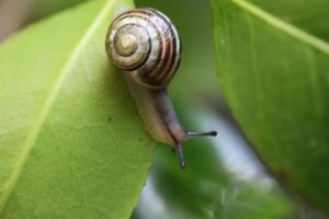 センサー付きゴミ箱の確認方法は？