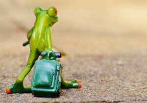 旅行でミラーレス一眼を予算10万円以下でおすすめする機種は？