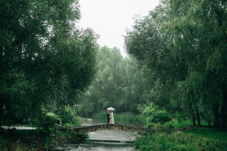 結婚式で使えるカメラの選び方は？暗所でも強い機種はどれ？